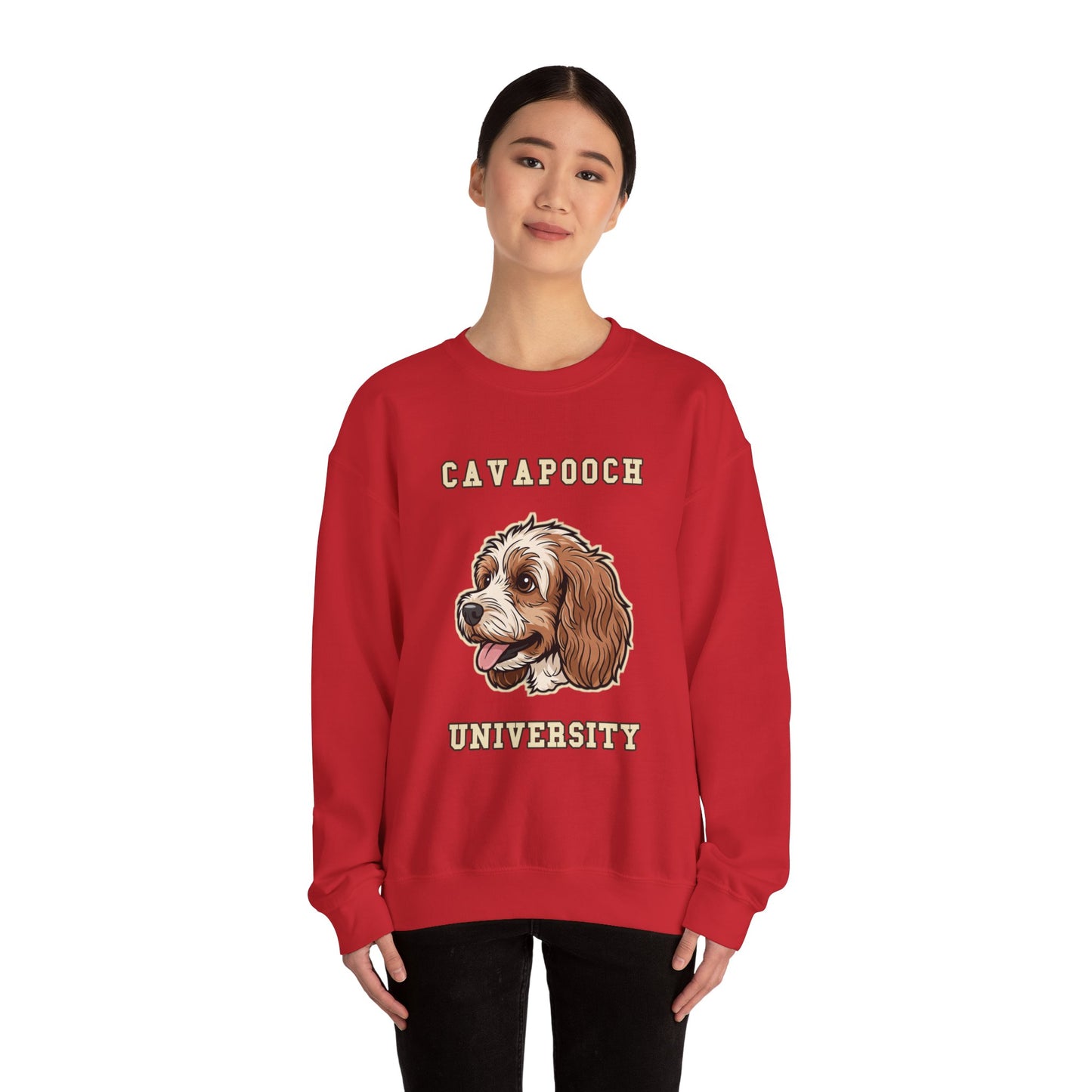 Cavapoo Gift Sweatshirt, Cavoodle Crewneck in Soft Wavy Coat